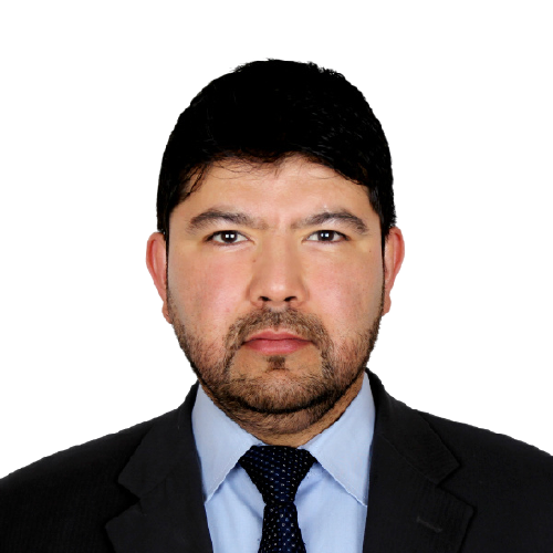 Pic_L_V8_2x2-removebg-preview